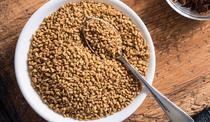 fenugreek that can help you lose weight - xplorely
