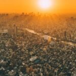 largest city in the world