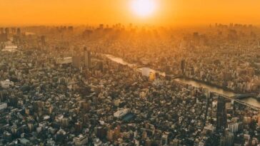 largest city in the world