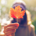 7 Reasons To Love Living In Canada | Sun Life