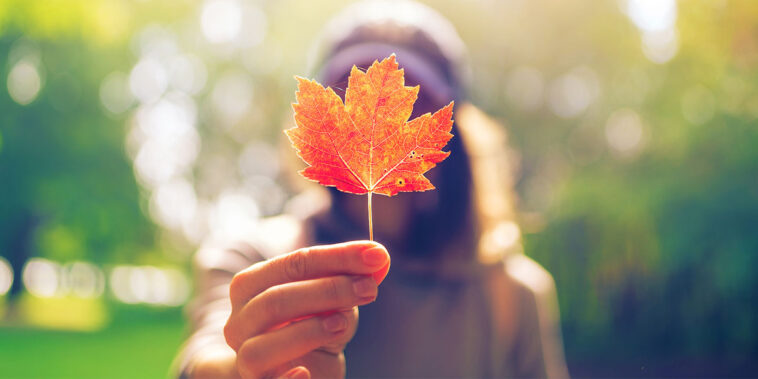 7 Reasons To Love Living In Canada | Sun Life