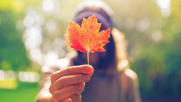 7 Reasons To Love Living In Canada | Sun Life