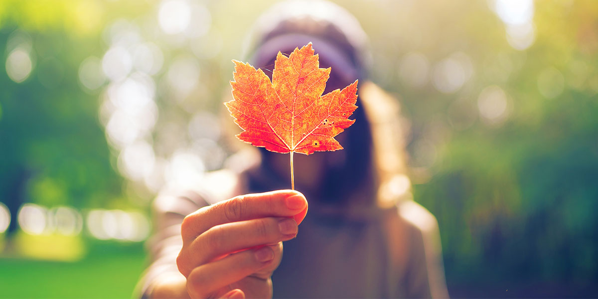 7 Reasons To Love Living In Canada | Sun Life