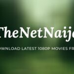 TheNetNaija