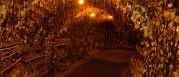 From Condoms to Toilets - 7 of the Weirdest Museums in the World