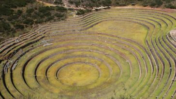 Explore the ancient Inca agricultural terraces, a marvel of engineering in the Peruvian Andes.