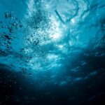 underwater hotel room ocean view