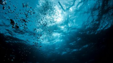underwater hotel room ocean view
