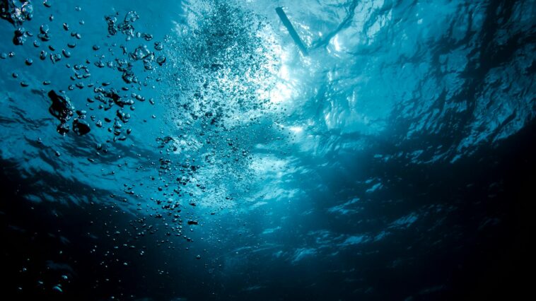 underwater hotel room ocean view