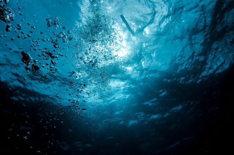 underwater hotel room ocean view
