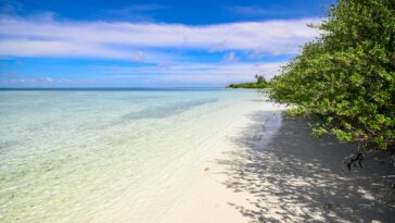 tropical island beach crystal water