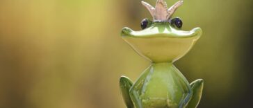 A cute frog prince figurine sits gracefully outdoors with a blurred green background.