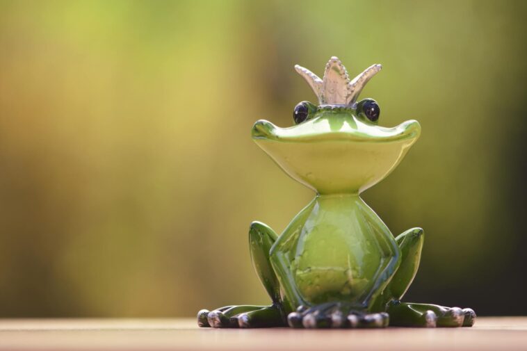 A cute frog prince figurine sits gracefully outdoors with a blurred green background.