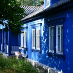 A vibrant blue house in a rural setting with lush greenery and shadows cast by trees.
