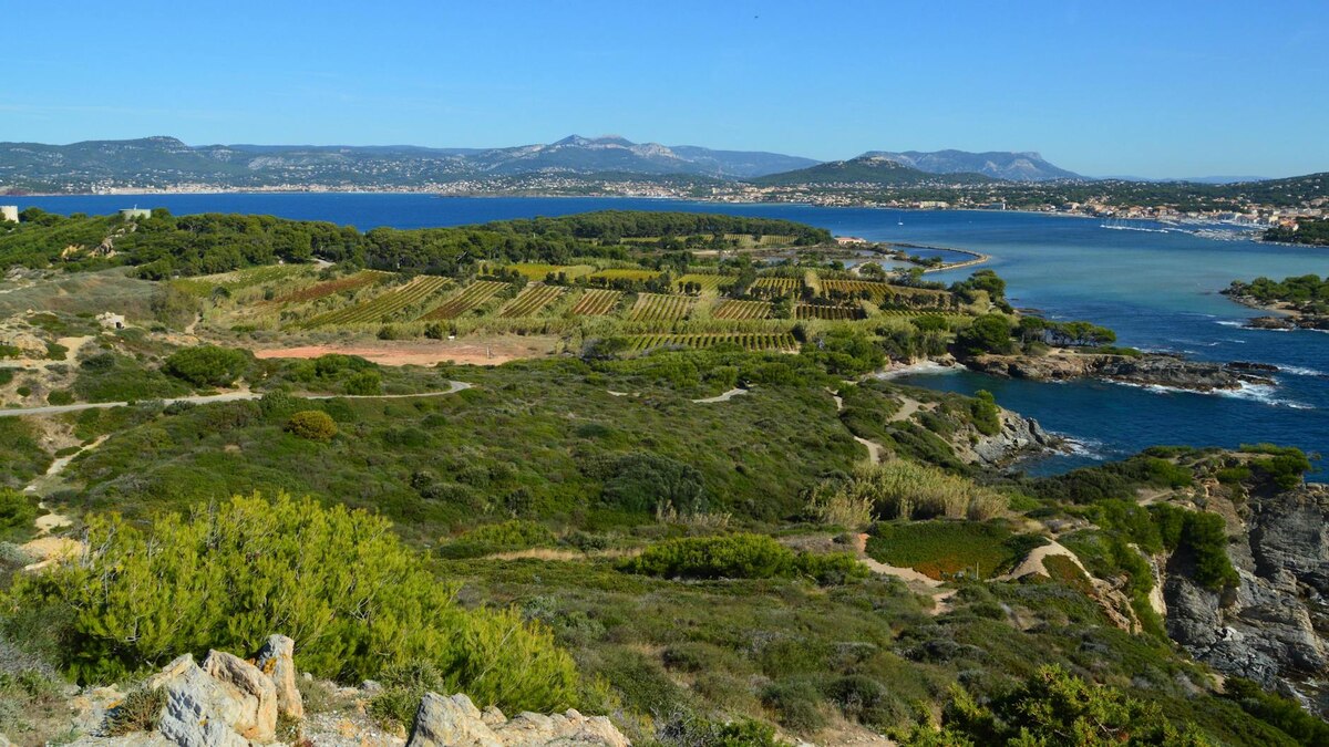 A Good Year — Provence, France Is Pure Bliss