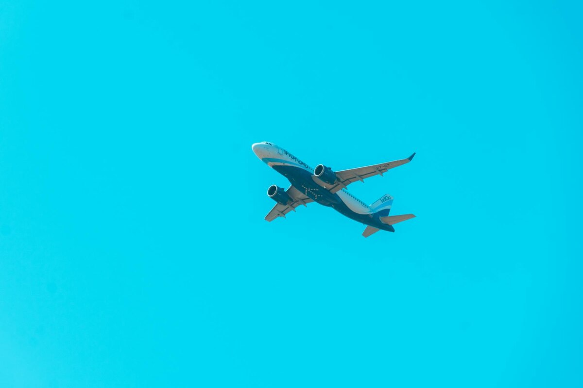 Loyalty Programs? It's Giving Free Flights, Hello?!