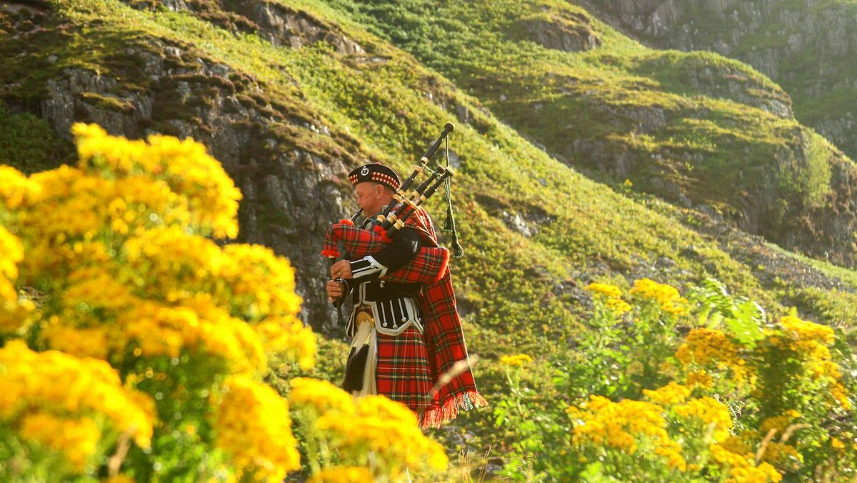 He Was A Veteran Of Scottish Crime Drama, 'Taggart'