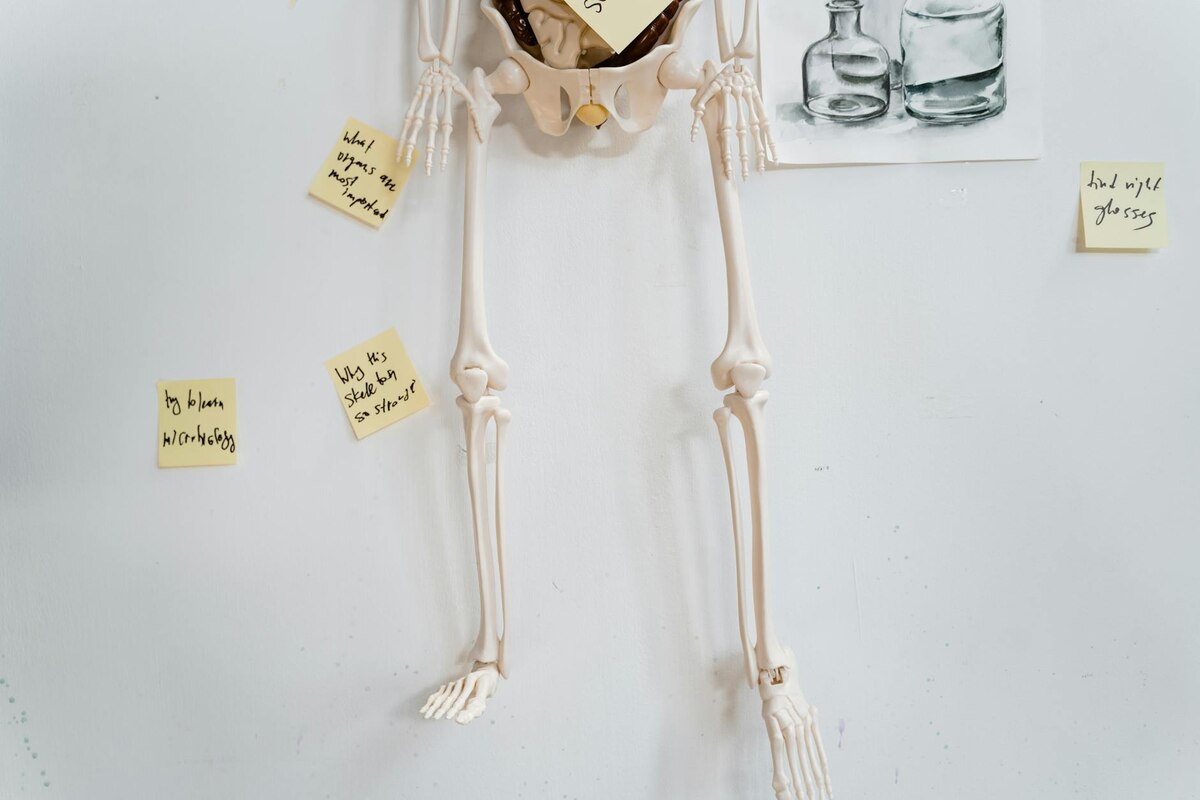 Bella's New Life as a Scientist