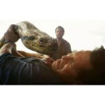 15 Netflix Movies You NEED to Watch in 2026 — Like, Right Now!