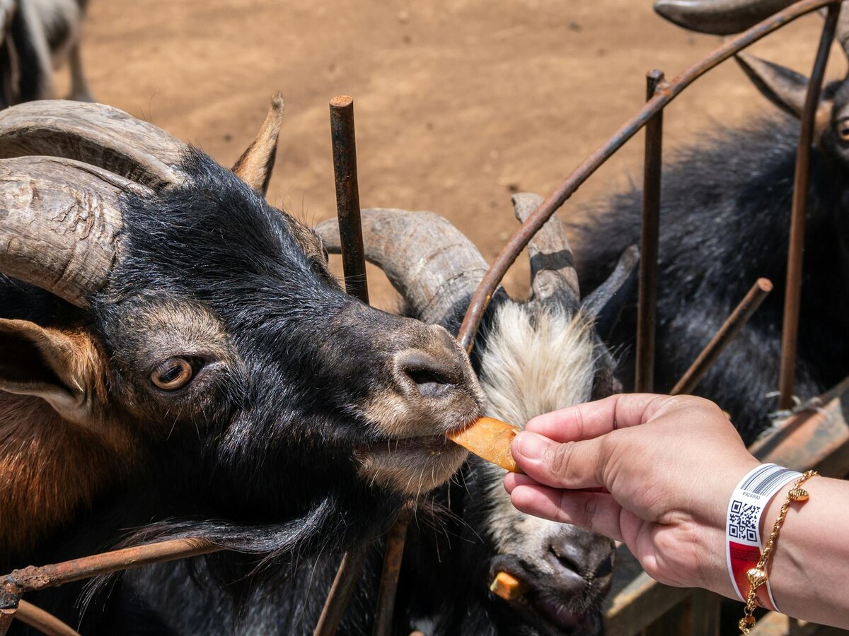 15. The 'Bieber Effect' Is Real