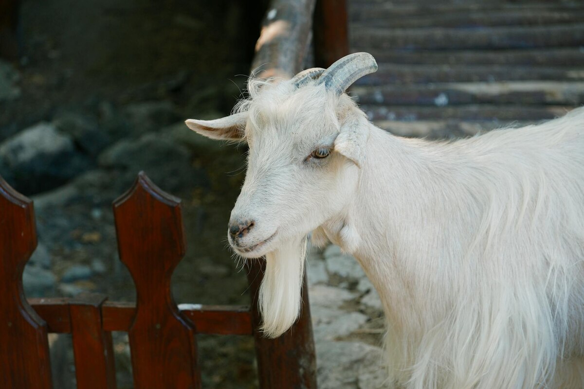 2. He Dropped a New Song That Sounds Like 2010