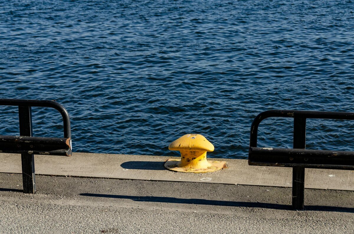 The 'Man With The Bollard' Who Went Viral