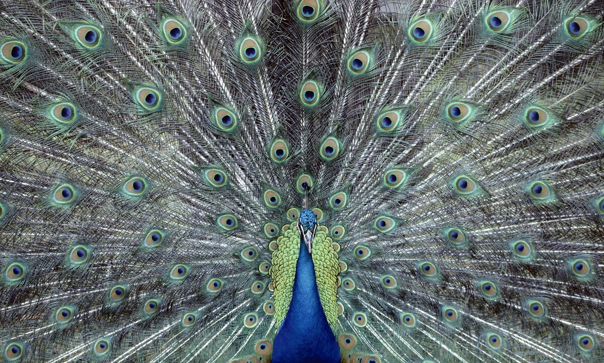 Eco-Tourism Just Got a Real Makeover