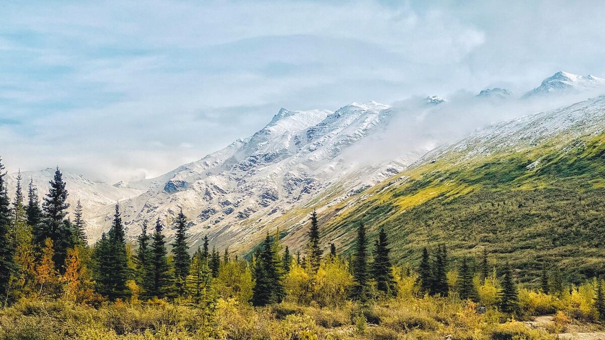 Into the Wild — Raw Alaskan Wilderness
