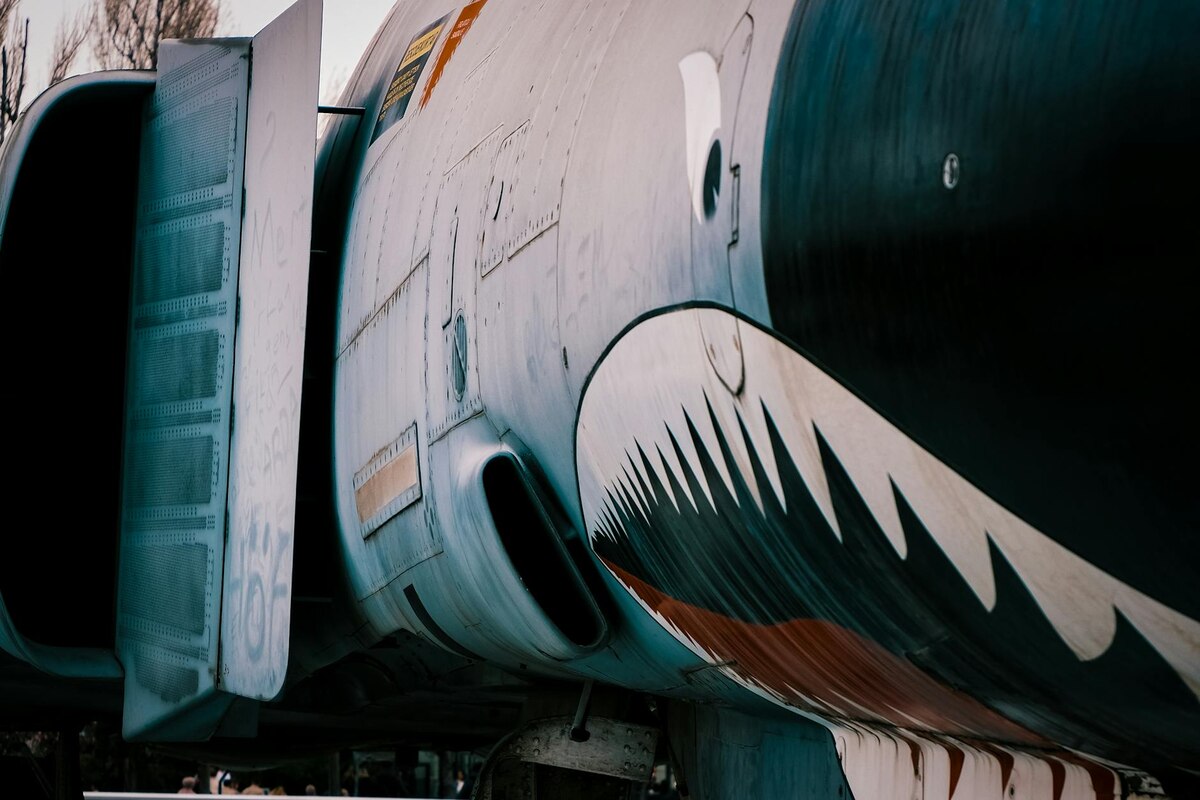 The Practical Shark (aka Bruce) Was A Vibe