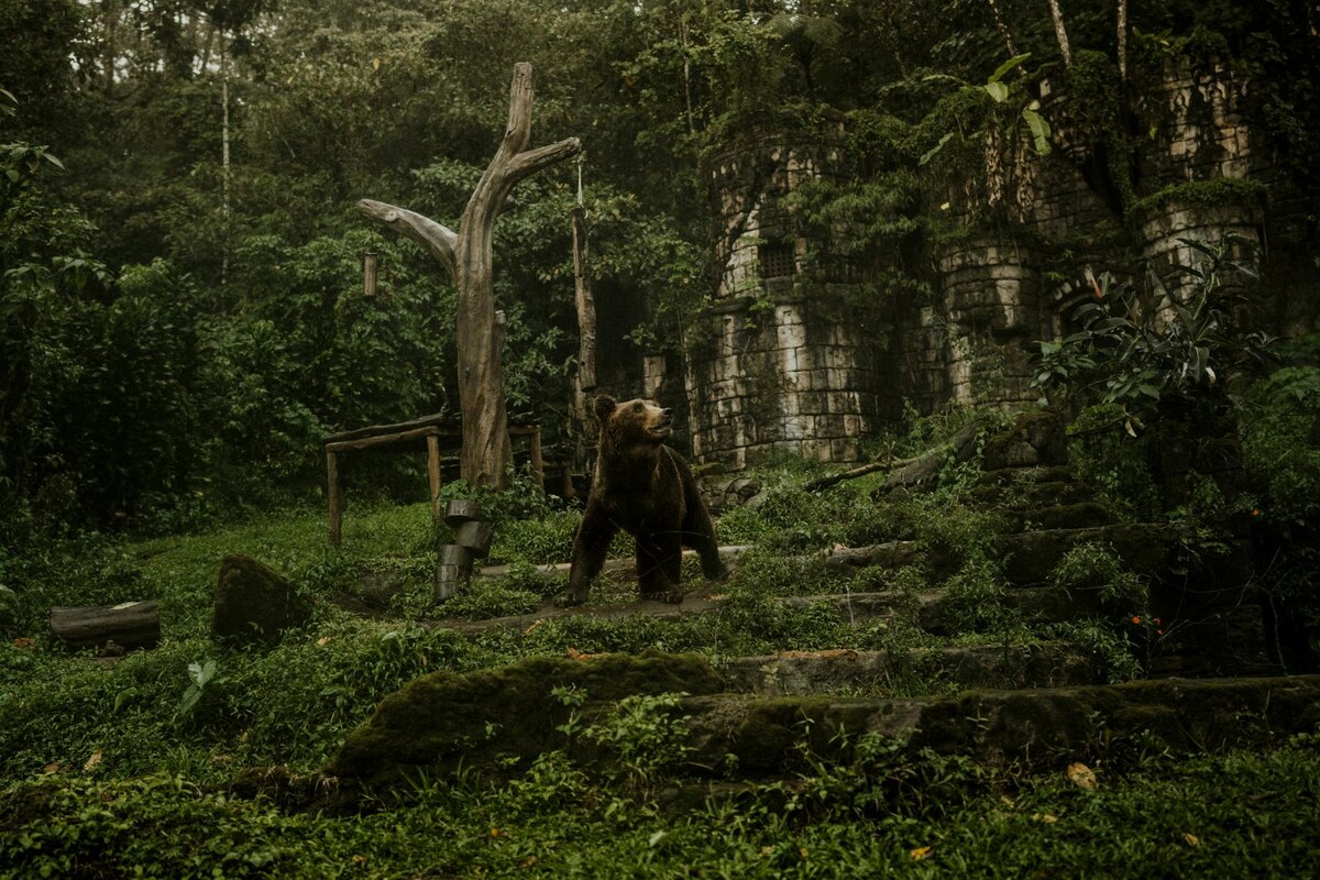 The Action Sequences Are Seriously EPIC