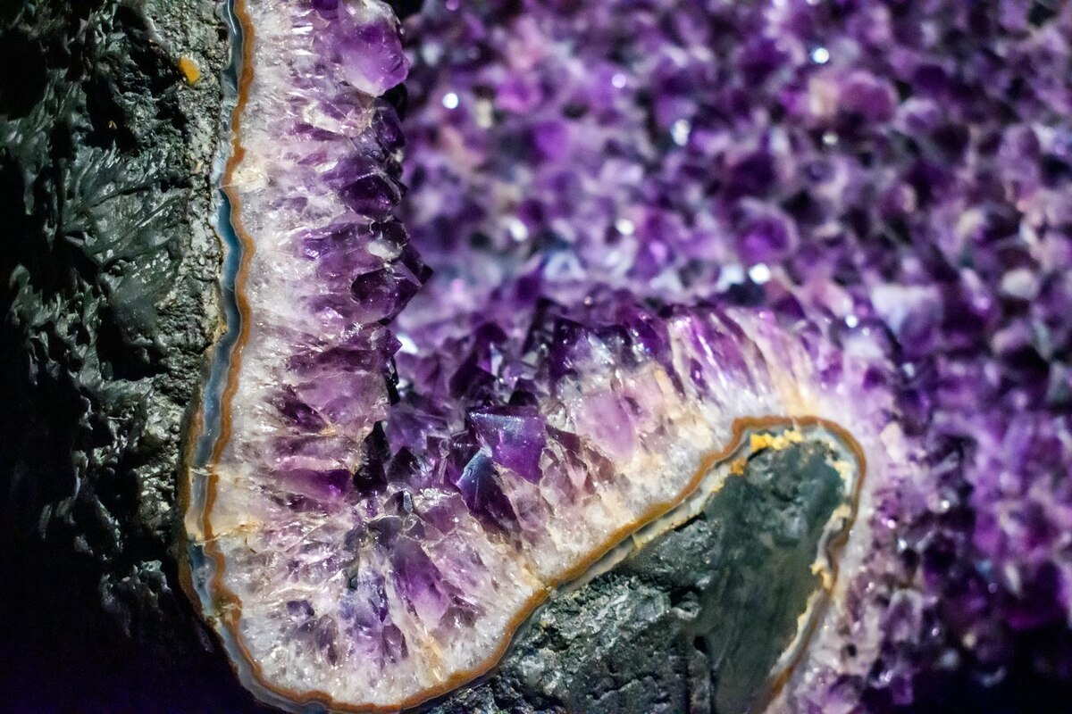 Kevin Garnett As… Himself?!