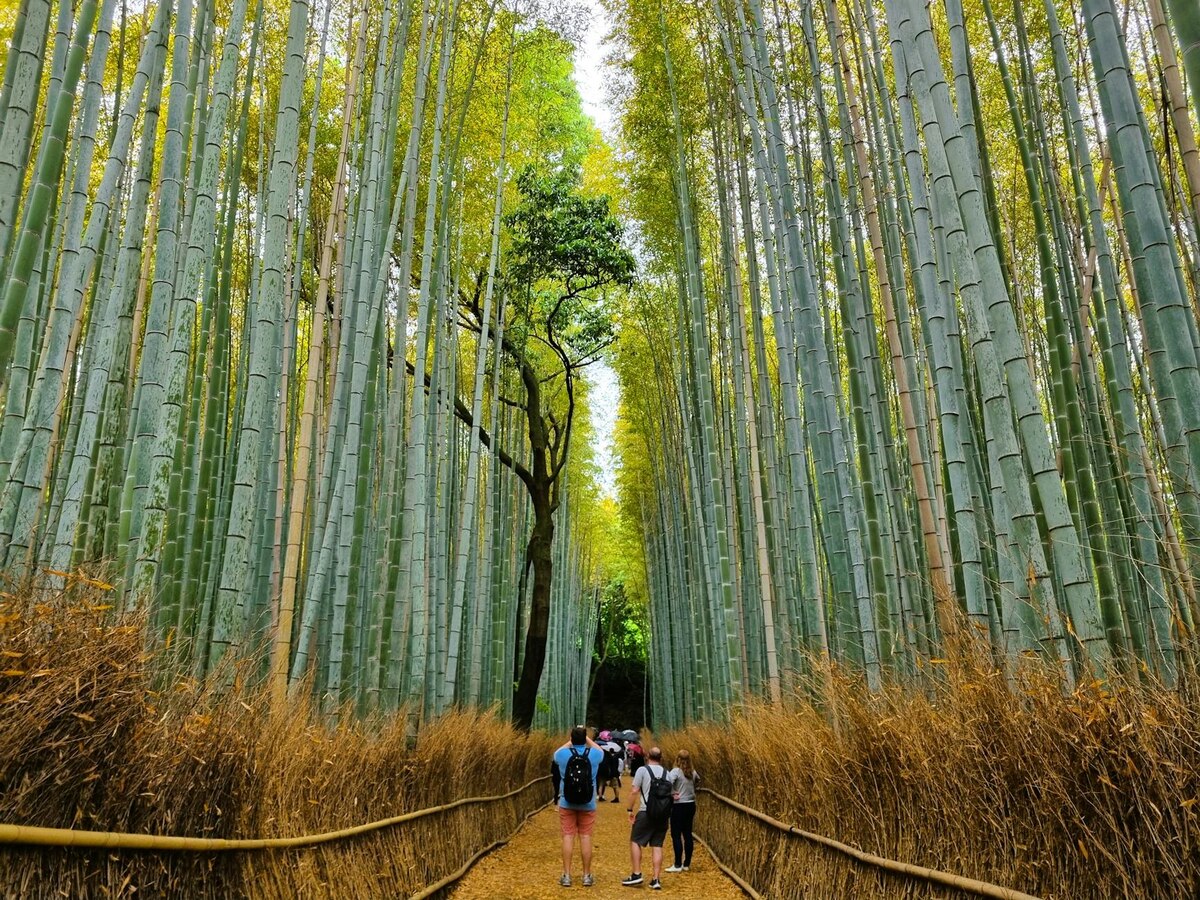 The Most Instagrammable City (That's Not Paris)