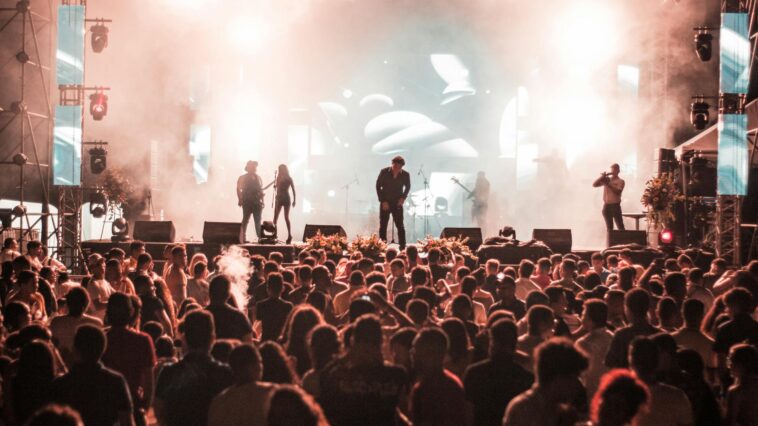 Lively crowd enjoying a nighttime concert with dynamic lighting and energetic performers on stage.