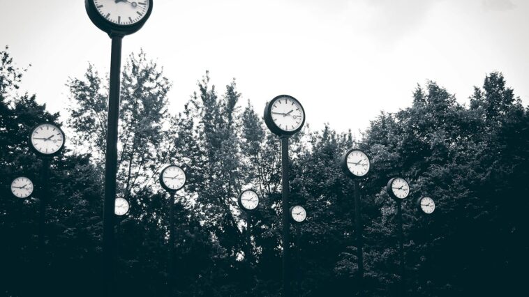 A collection of clocks set against a backdrop of trees in a park, creating a surreal scene.