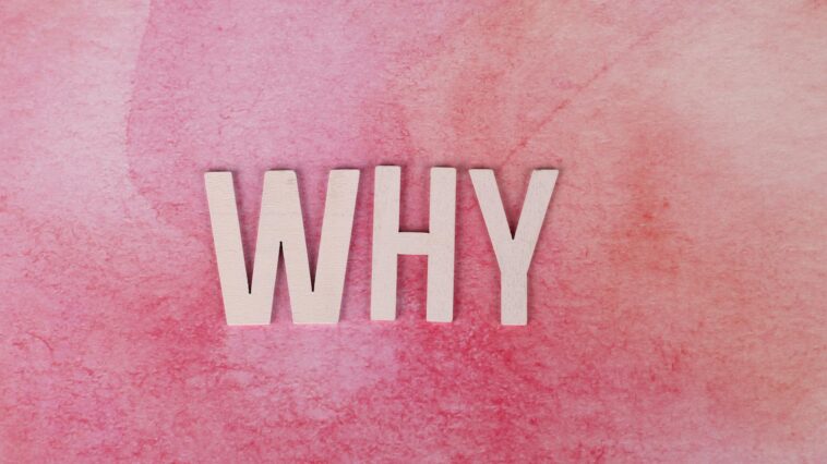 Bold white letters spelling WHY on a pink textured background for conceptual design.