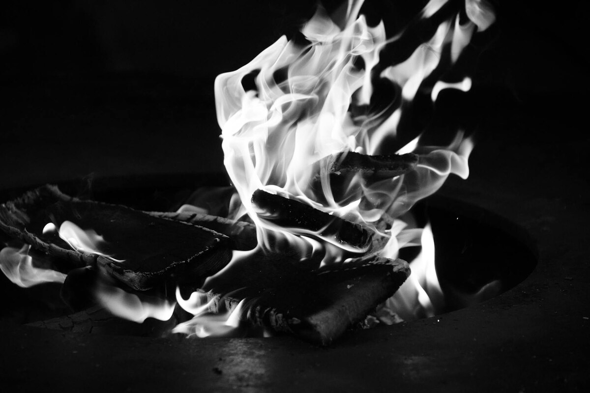 Portrait of a Lady on Fire (2019) — Intense Gaze, Lingering Love