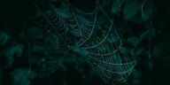Closeup of a spiderweb covered with dew drops, creating a mystical natural pattern against a dark background.