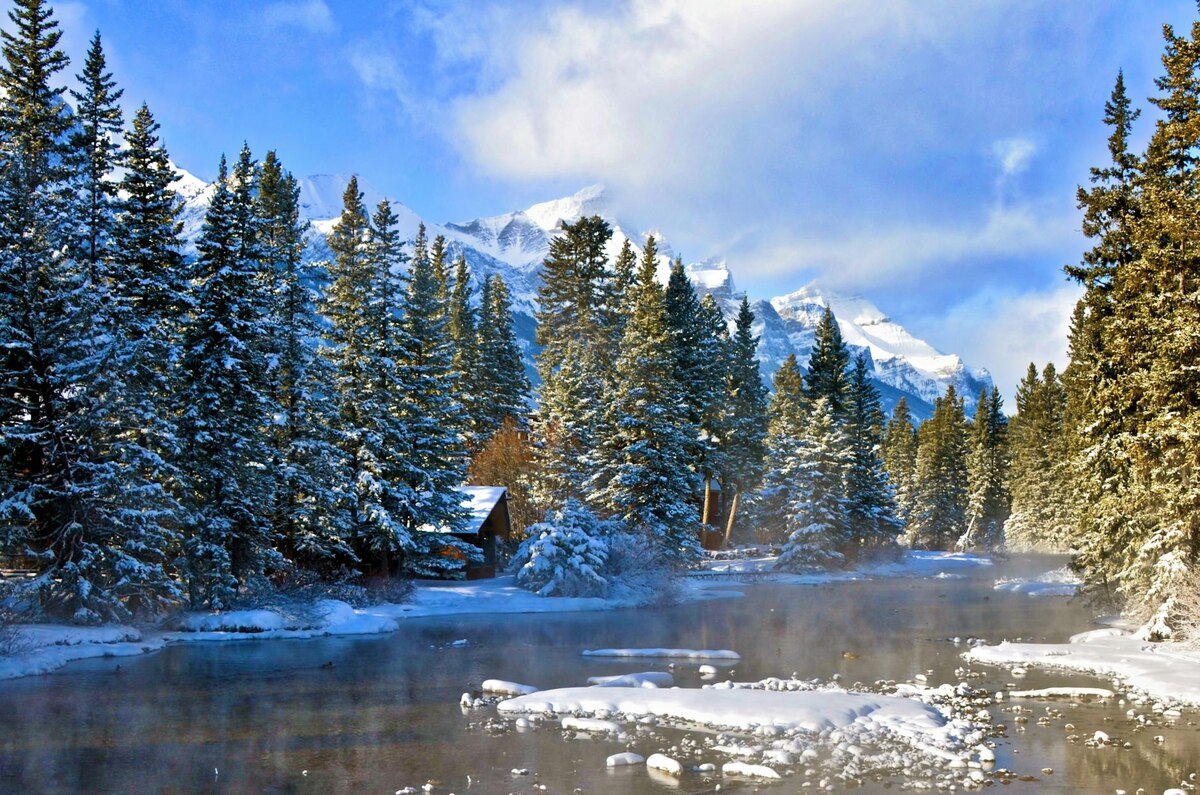 The Revenant — Untamed Canadian and Argentinian Wilderness