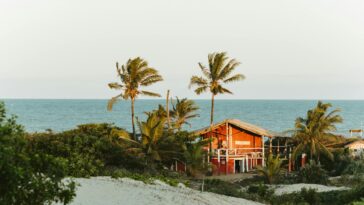 Scenic view of a rustic beach house in Itaúnas, surrounded by palms and sandy shores.