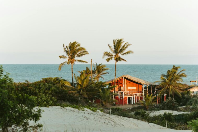 Scenic view of a rustic beach house in Itaúnas, surrounded by palms and sandy shores.