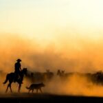 A cowboy on horseback herding a group of horses through a dusty landscape at sunset.