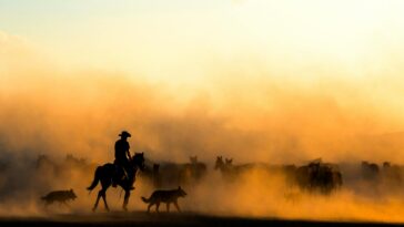 A cowboy on horseback herding a group of horses through a dusty landscape at sunset.