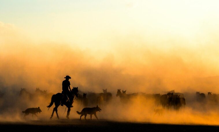 A cowboy on horseback herding a group of horses through a dusty landscape at sunset.