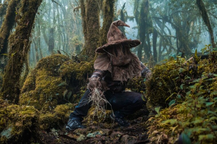 12 Reasons Why We Are Seriously Skeptical About The New Blair Witch Reboot